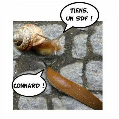 En 2013, qui organisa une campagne de sensibilisation pour les SDF, appelée "Un sourire SVP" ?