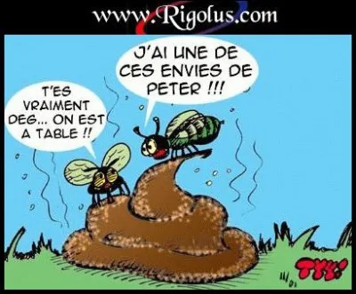 Trouvez la bonne expression !