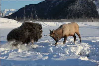 Expression populaire !