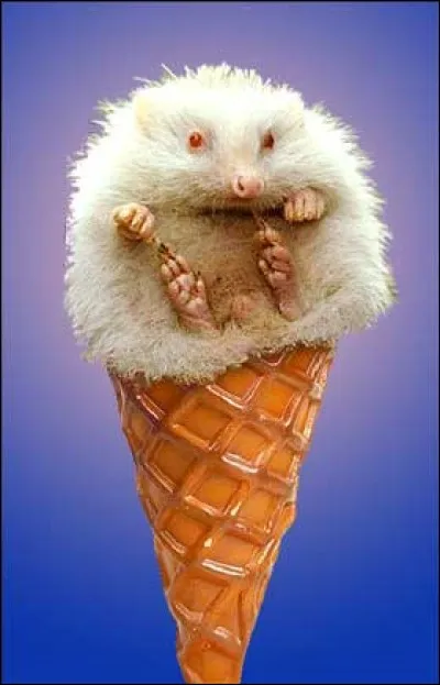 Synonyme de "manger à satiété" !