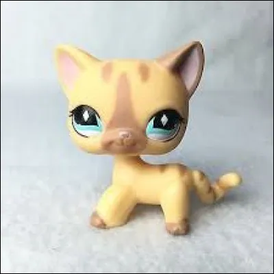 Quelle est cette race ?