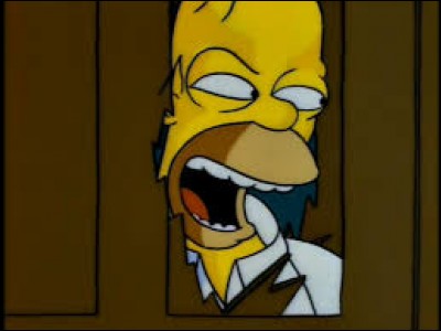 Qui Homer essaye-t-il de tuer dans "The Shinning" ?