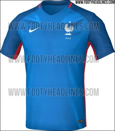 Quel est ce signe qui est sur le maillot de la France ?