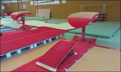 Comment se nomme cet agrès ?