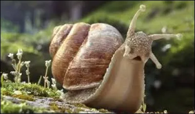 "L'amateur d'escargots" de Patricia Highsmith est ...