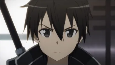 Pour ce manga, je n'ai que trois mots anglais : "Sword Art Online". Un manga dans lequel nous suivons les aventures du jeune Kirito. Quel âge a-t-il en fait ?