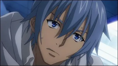 Au bowling, strike se dit quand on fait tomber toutes les quilles. Seulement, là, j'ignore ce que "Strike The Blood" veut dire. Quelle est la vraie nature de Kojô Akatsuki ?