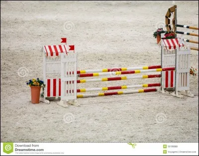 Quel obstacle n'existe pas ?