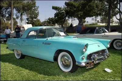 De quelle marque vient la T-Bird ?