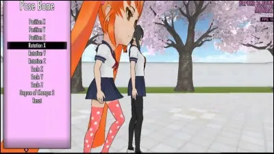 Le pose mod était au départ...