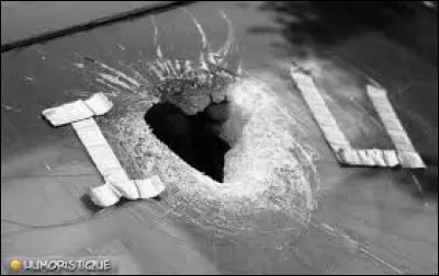 "... répare- ... remplace. " ?