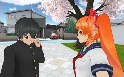 Es-tu amie avec ton crush ?