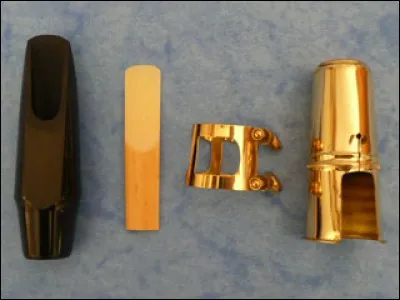 Qu'est-ce que l'anche d'un instrument de musique ?