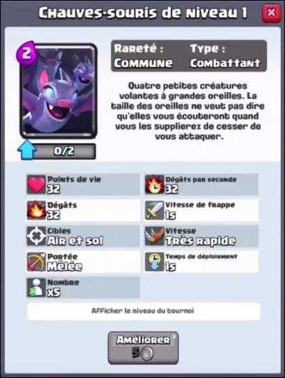 Quelle est cette arène ?