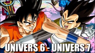 Dans DBS, quels sont les combattants qui s'opposent pour le premier combat ?