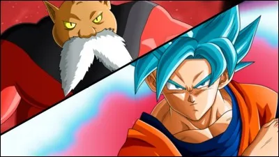 Par qui a été arrêté le combat de Toppo et Goku ?