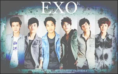 Qui est le leader des EXO-K ?
