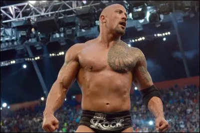 Quelles sont les prises de finition de The Rock ?