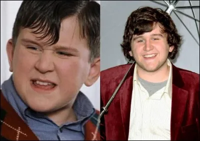 HP5 - Quel sort Harry a-t-il lancé devant un Moldu ?