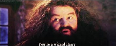 HP1 - Où se trouvait Harry lorsqu'Hagrid est venu le chercher pour l'emmener à Poudlard ?