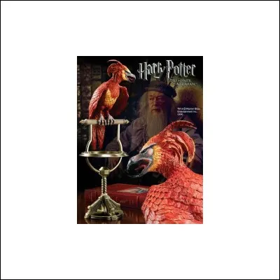 Comment s'appelle le phénix d'Albus ?