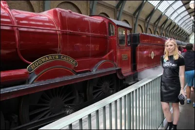 Comment se nomme la voie qu'ils prennent pour aller à Poudlard ?