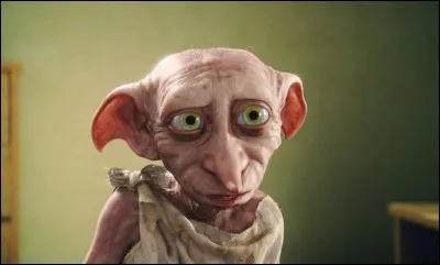 Qui est l'ancien maître de Dobby ?