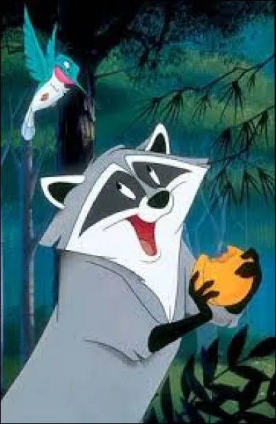 Comment s'appelle le raton-laveur et le colibri de Pocahontas ?