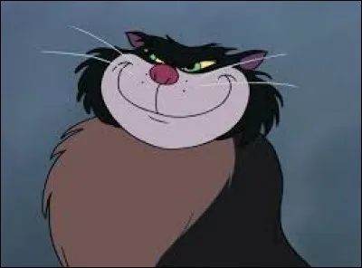 Comment s'appelle le chat dans Cendrillon ?