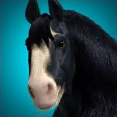Comment s'appelle le cheval de Mérida (ou Rebelle) ?