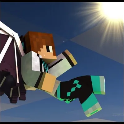 À qui appartient cette image ?