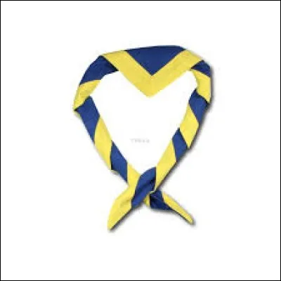 Qu'est-ce chez les scouts ?