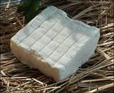 Quel est le nom de ce fromage au lait de chèvre originaire de la Nouvelle-Aquitaine ?