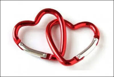 Ton meilleur ami (ou ta meilleure amie) te propose de passer une journée ensemble et de dormir chez elle (ou lui). Que fais-tu ?