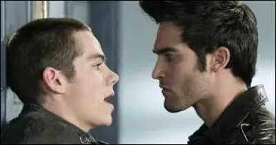 Qui trouve que Derek et Stiles font un beau couple ?