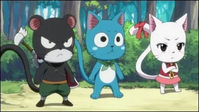 Qui sont ces Exceeds ?