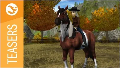 Quelle est cette race de cheval ?