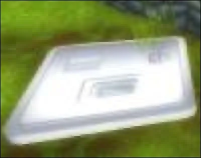 Quelle est cette chose ?