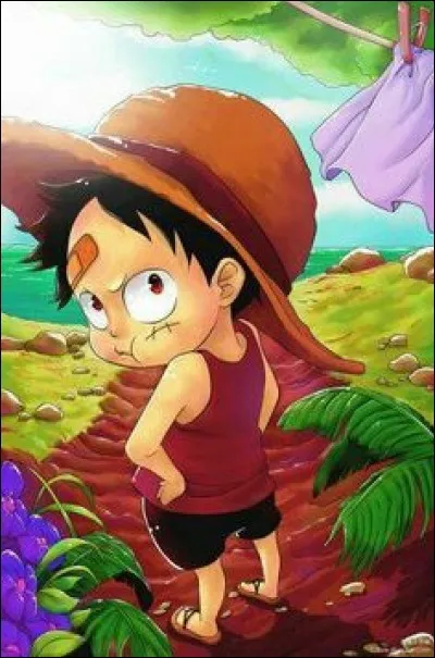 Avec qui Luffy commence-t-il son aventure?