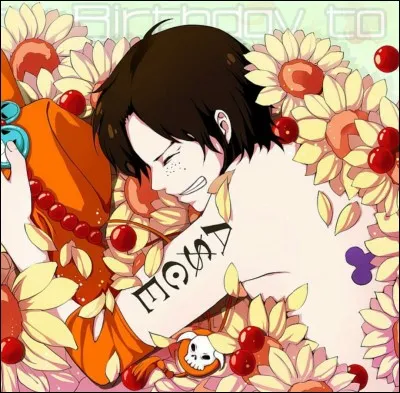 Où Ace revoit-il Luffy pour la première fois?