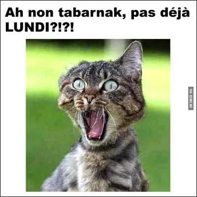 Combien y a-t-il de jours dans une semaine ?