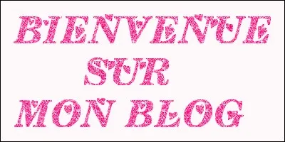 Comment s'appelle le blog de Nina ?