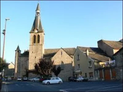 Village de l'arrondissement de Rodez, Naucelle se situe dans le département ...