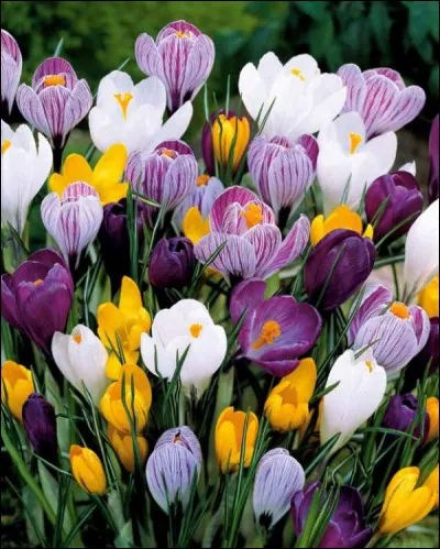 Complétez, "Randonneurs du dimanche, vous êtes-vous ... la casquette jusqu'aux oreilles ?"