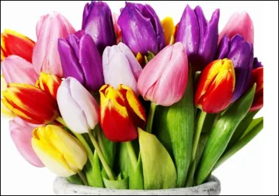 Quelle phrase est correctement orthographiée ? Les élèves sont ... et ... par la difficulté de la dictée.