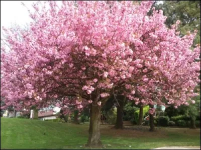 Quelle est la mauvaise association ?deuxième personne du pluriel.