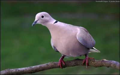 Ses paroles sont vides des sens, ce sont des ... .