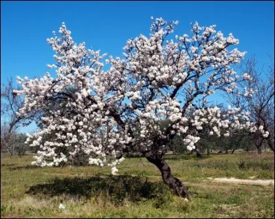 Quel est le groupe fautif ?