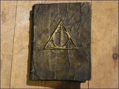 Quel(s) livre(s) Harry Potter n'a-t-il pas pu étudier à Poudlard ?