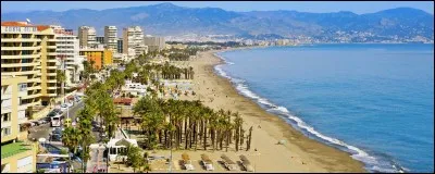 Environ combien de minutes de train cela prend-il pour se rendre de Malaga à Torremolinos?